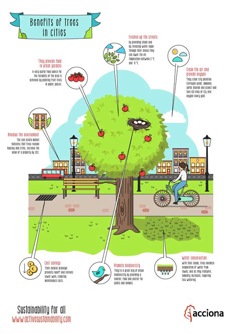 The boundless benefits of trees in cities like Austin